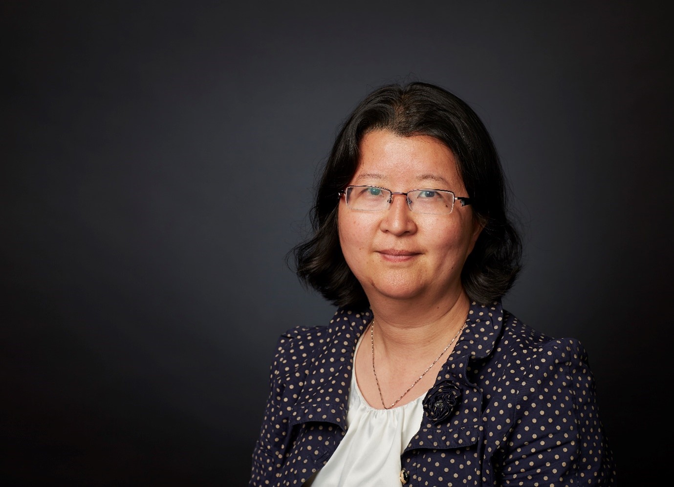 World AIDS Day – An interview with Section Editor Professor Limin ...